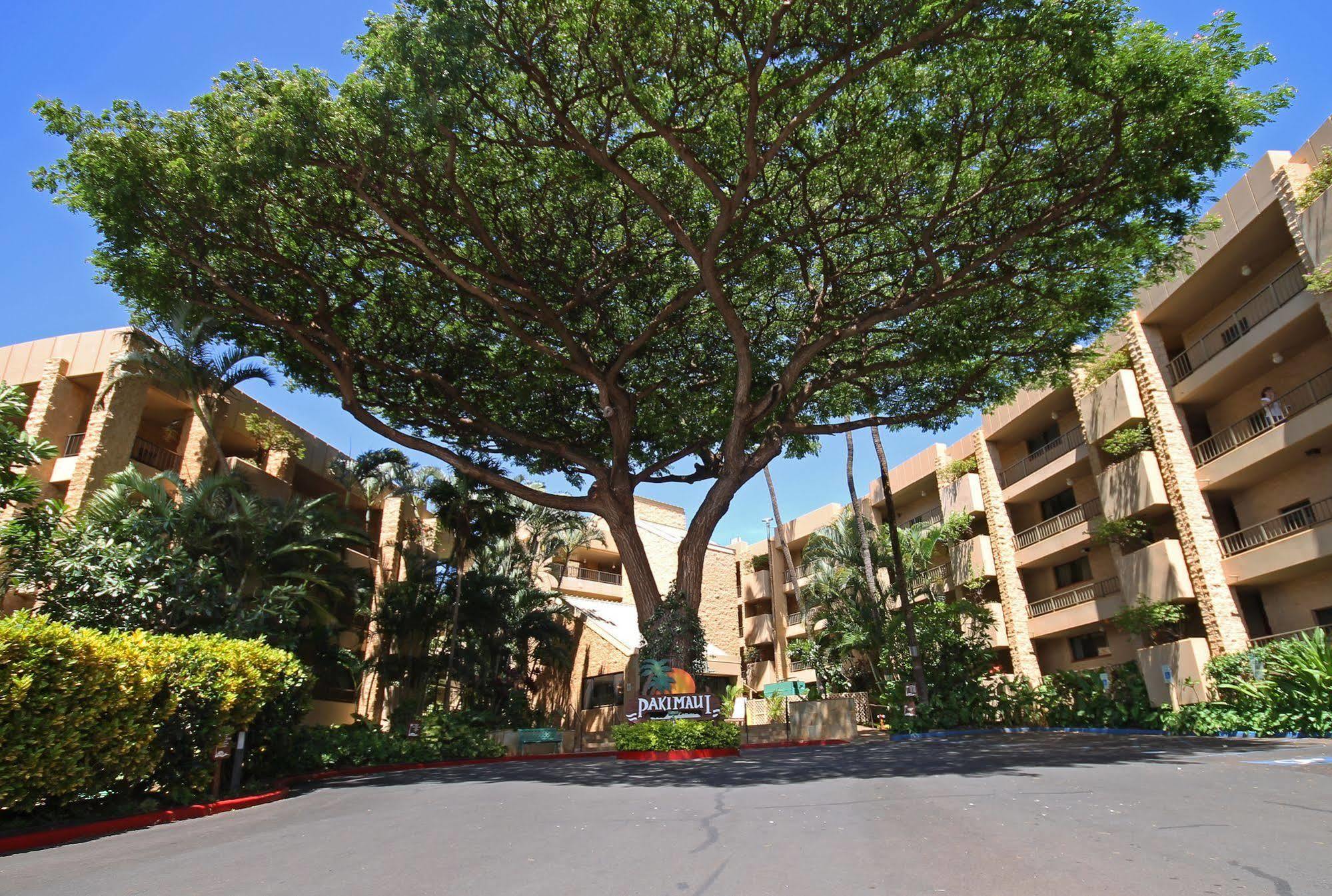 Castle Paki Maui Apart otel Lahaina Dış mekan fotoğraf